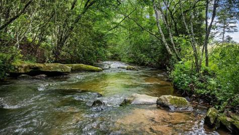 138 Wolf Creek Estates Mineral Bluff GA 30559