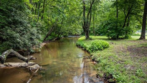 138 Wolf Creek Estates Mineral Bluff GA 30559