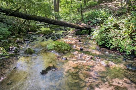 408 Mountain Creek Way Ellijay GA 30536