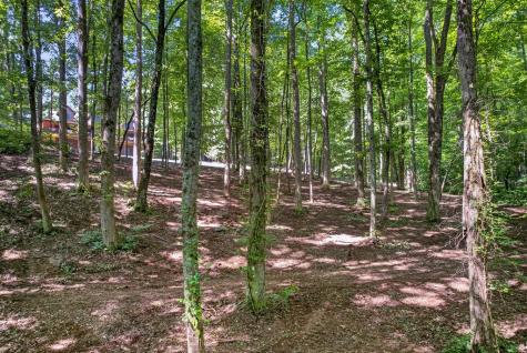 408 Mountain Creek Way Ellijay GA 30536