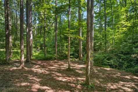 408 Mountain Creek Way Ellijay GA 30536