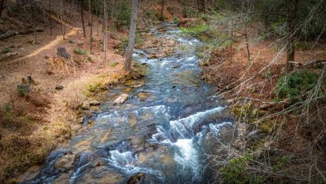 164 Water Dance Trail Blue Ridge GA 30513