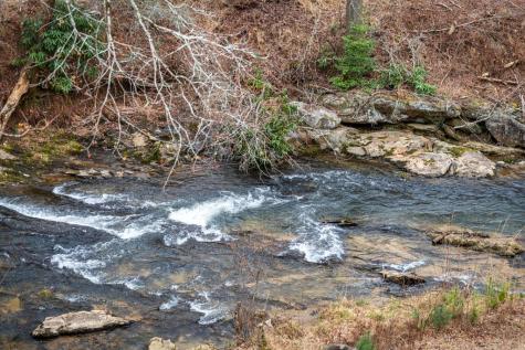 164 Water Dance Trail Blue Ridge GA 30513
