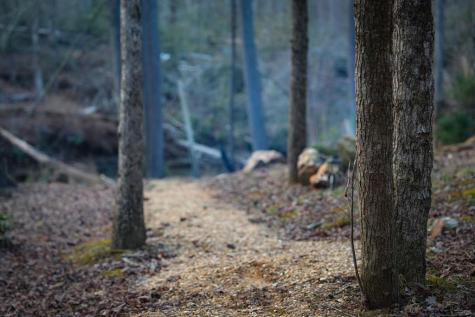 164 Water Dance Trail Blue Ridge GA 30513