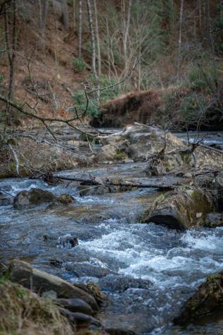 164 Water Dance Trail Blue Ridge GA 30513