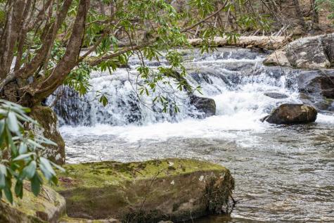 164 Water Dance Trail Blue Ridge GA 30513