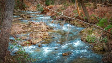 164 Water Dance Trail Blue Ridge GA 30513