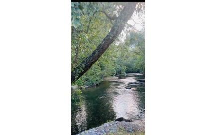 4165 Riverbank Run Hiawassee GA 30546