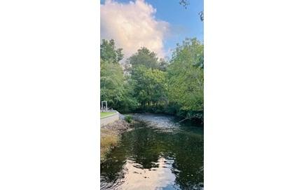 4165 Riverbank Run Hiawassee GA 30546