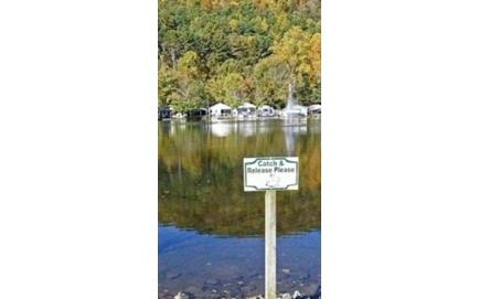 4165 Riverbank Run Hiawassee GA 30546