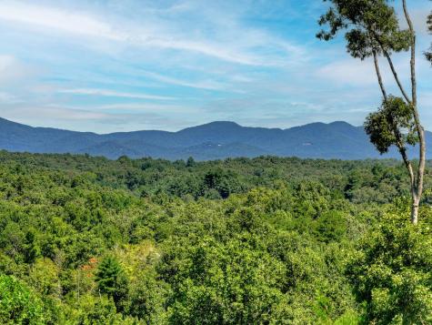320 Amber Ridge Blue Ridge GA 30513