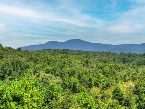 320 Amber Ridge Blue Ridge GA 30513