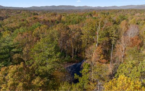 290 Graham Court Ellijay GA 30540