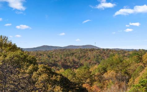 290 Graham Court Ellijay GA 30540
