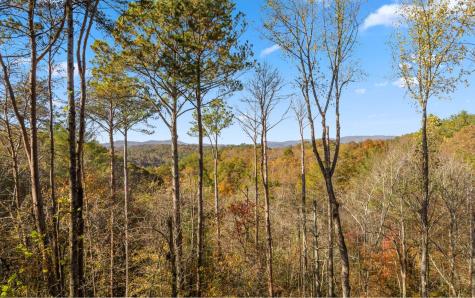 290 Graham Court Ellijay GA 30540