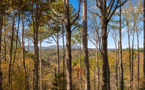 290 Graham Court Ellijay GA 30540