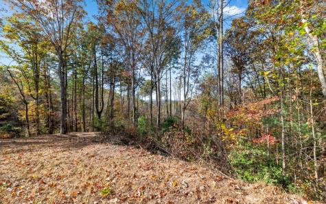 290 Graham Court Ellijay GA 30540