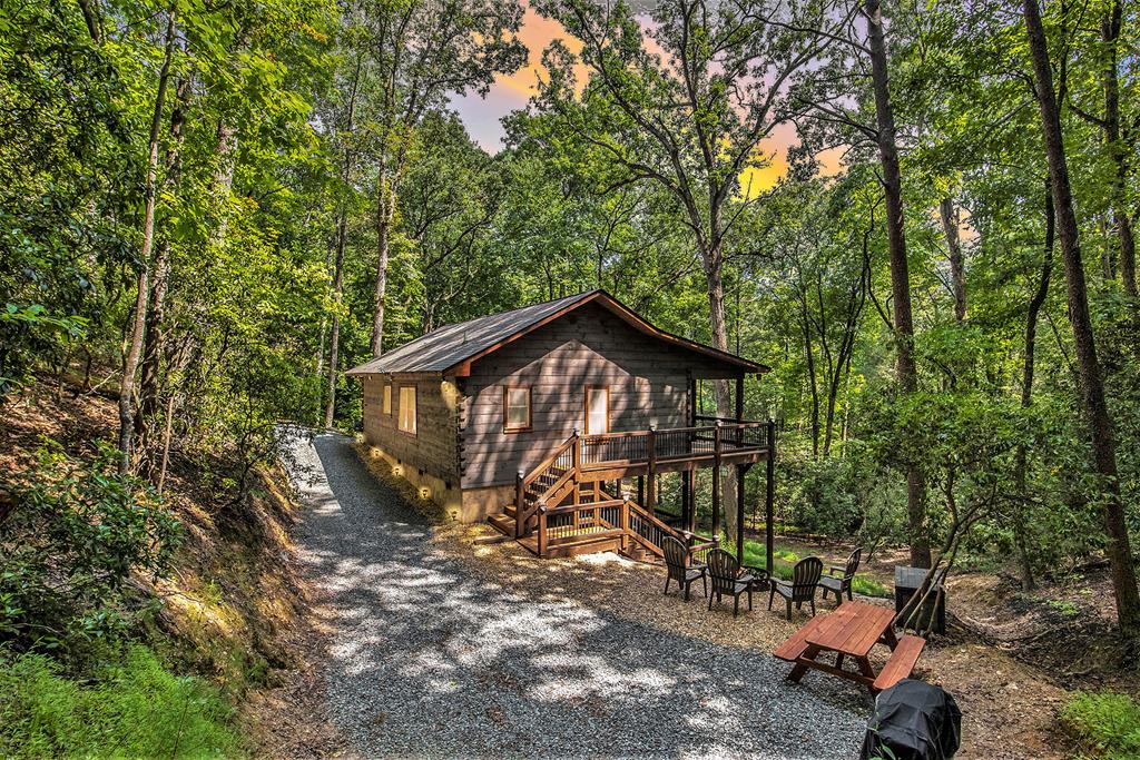 680 Hidden Lakes Drive Cherry Log GA 30522