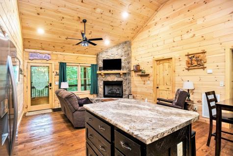 680 Hidden Lakes Drive Cherry Log GA 30522