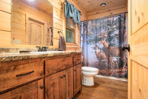 680 Hidden Lakes Drive Cherry Log GA 30522