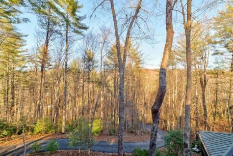 138 Lucius Lane Cherry Log GA 30522