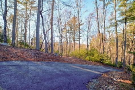 138 Lucius Lane Cherry Log GA 30522