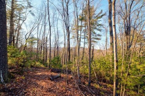 138 Lucius Lane Cherry Log GA 30522