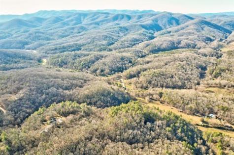 138 Lucius Lane Cherry Log GA 30522