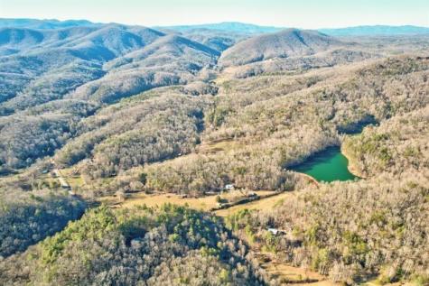 138 Lucius Lane Cherry Log GA 30522