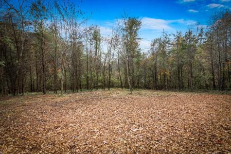 40 Cherry Street East Ellijay GA 30540