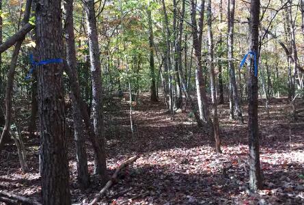 1419 Brannon Nix Road Young Harris GA 30582