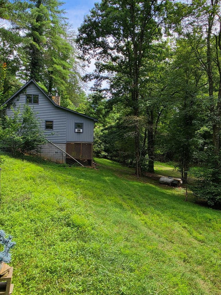 49 Deer Trail Mineral Bluff GA 30559