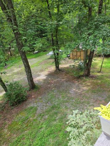 49 Deer Trail Mineral Bluff GA 30559