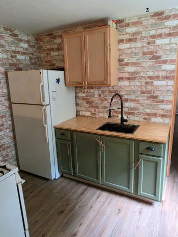 49 Deer Trail Mineral Bluff GA 30559