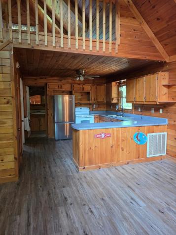 49 Deer Trail Mineral Bluff GA 30559