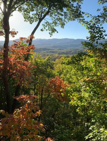 478 Cohutta Mountain Road Blue Ridge GA 30513
