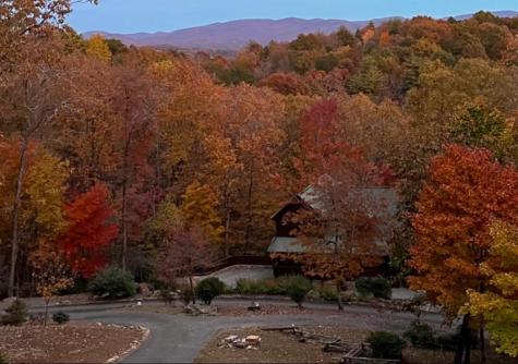 175 Leisure Drive Ellijay GA 30536