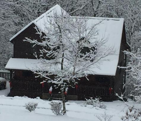 175 Leisure Drive Ellijay GA 30536
