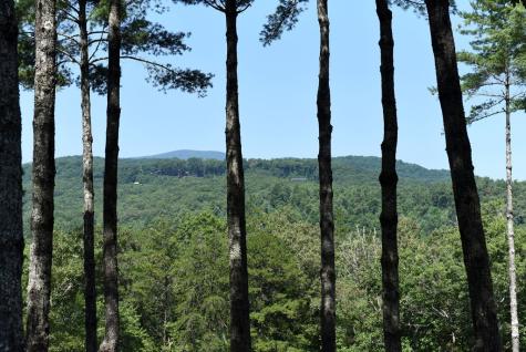 121 Noontootla Trail Blue Ridge GA 30513