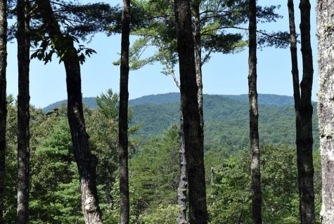 121 Noontootla Trail Blue Ridge GA 30513