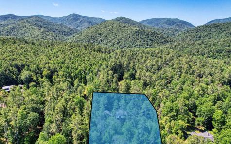 2511 Buck Run Hiawassee GA 30546