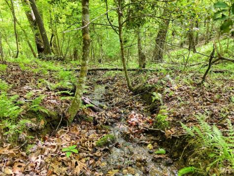 370 Lakepoint Drive Blairsville GA 30512