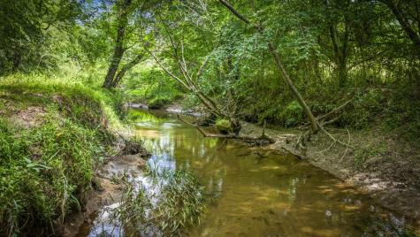 421 Twin Creeks Blue Ridge GA 30513