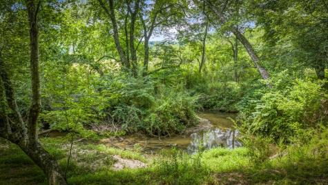 421 Twin Creeks Blue Ridge GA 30513