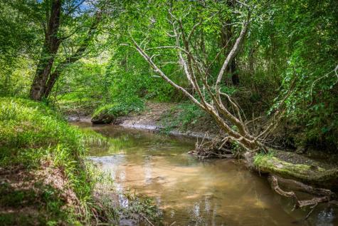 421 Twin Creeks Blue Ridge GA 30513