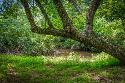 421 Twin Creeks Blue Ridge GA 30513