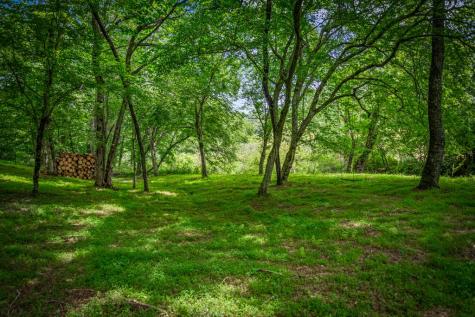 421 Twin Creeks Blue Ridge GA 30513