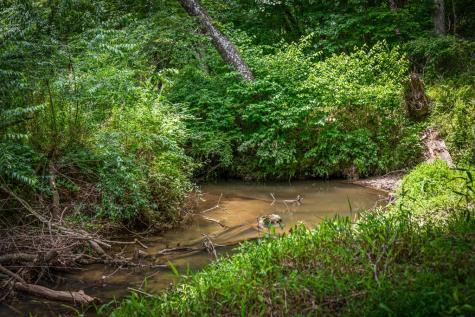 421 Twin Creeks Blue Ridge GA 30513