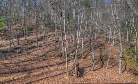 77 Sara Lane Blairsville GA 30512