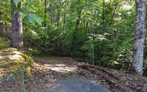 579 Mission Dam Road Hayesville NC 28904